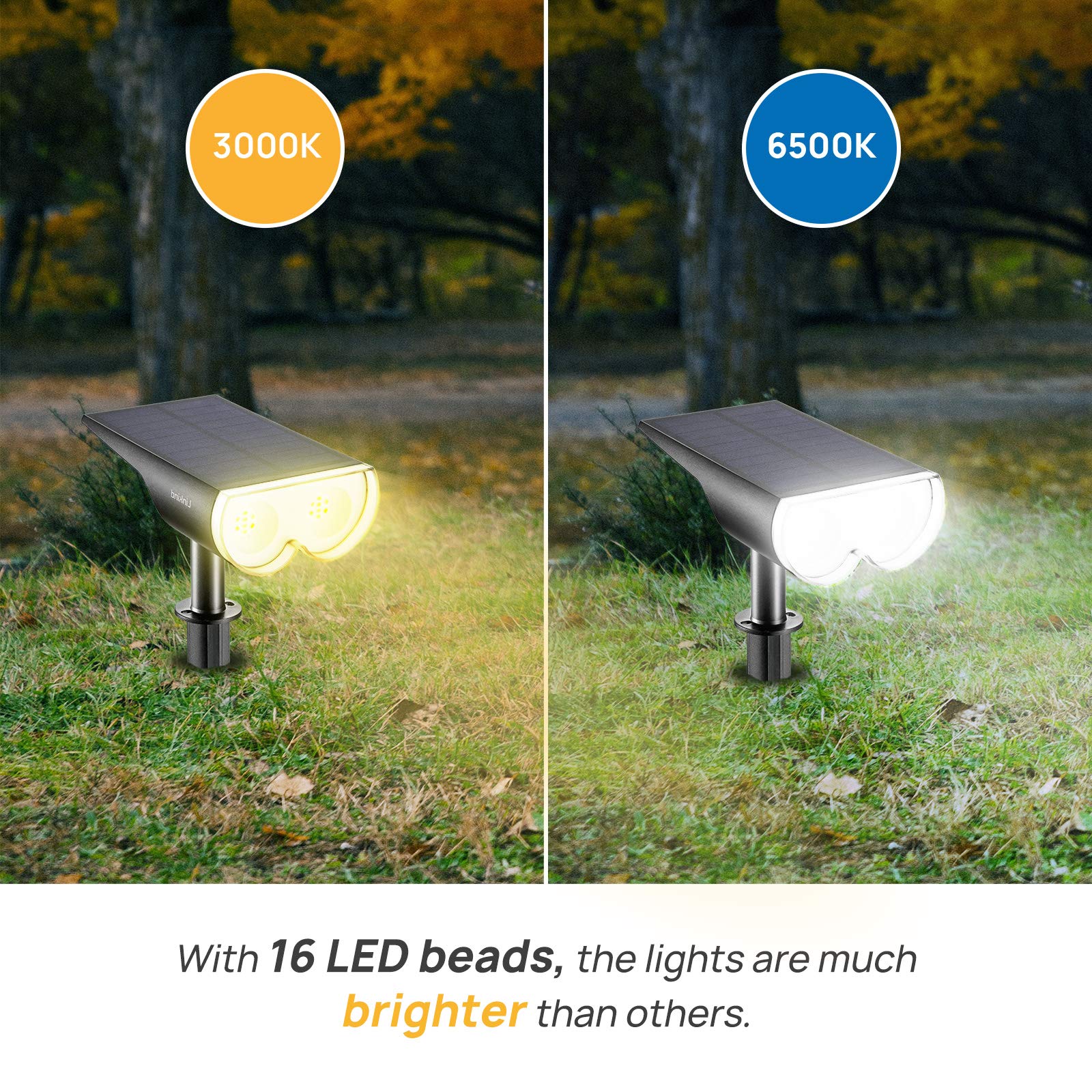 2-pack-Dual-Color-03.jpg