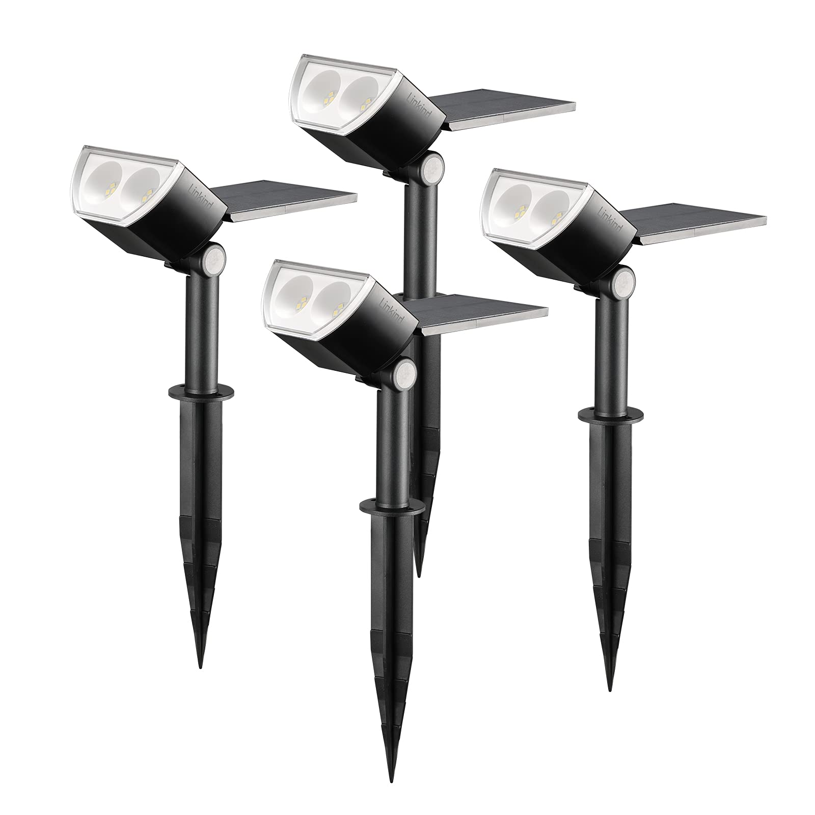 4-pack-Daylight-01-1.jpg