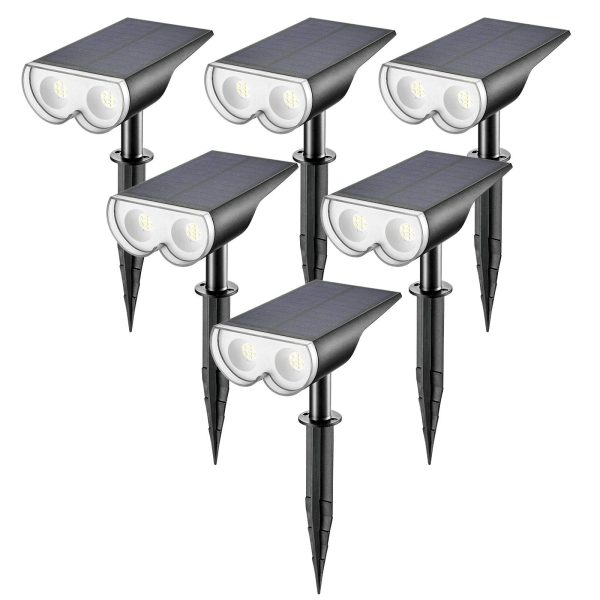 6-pack-Daylight-01.jpg