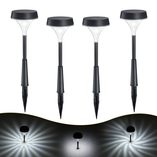 Daylight-4-pack-01.jpg
