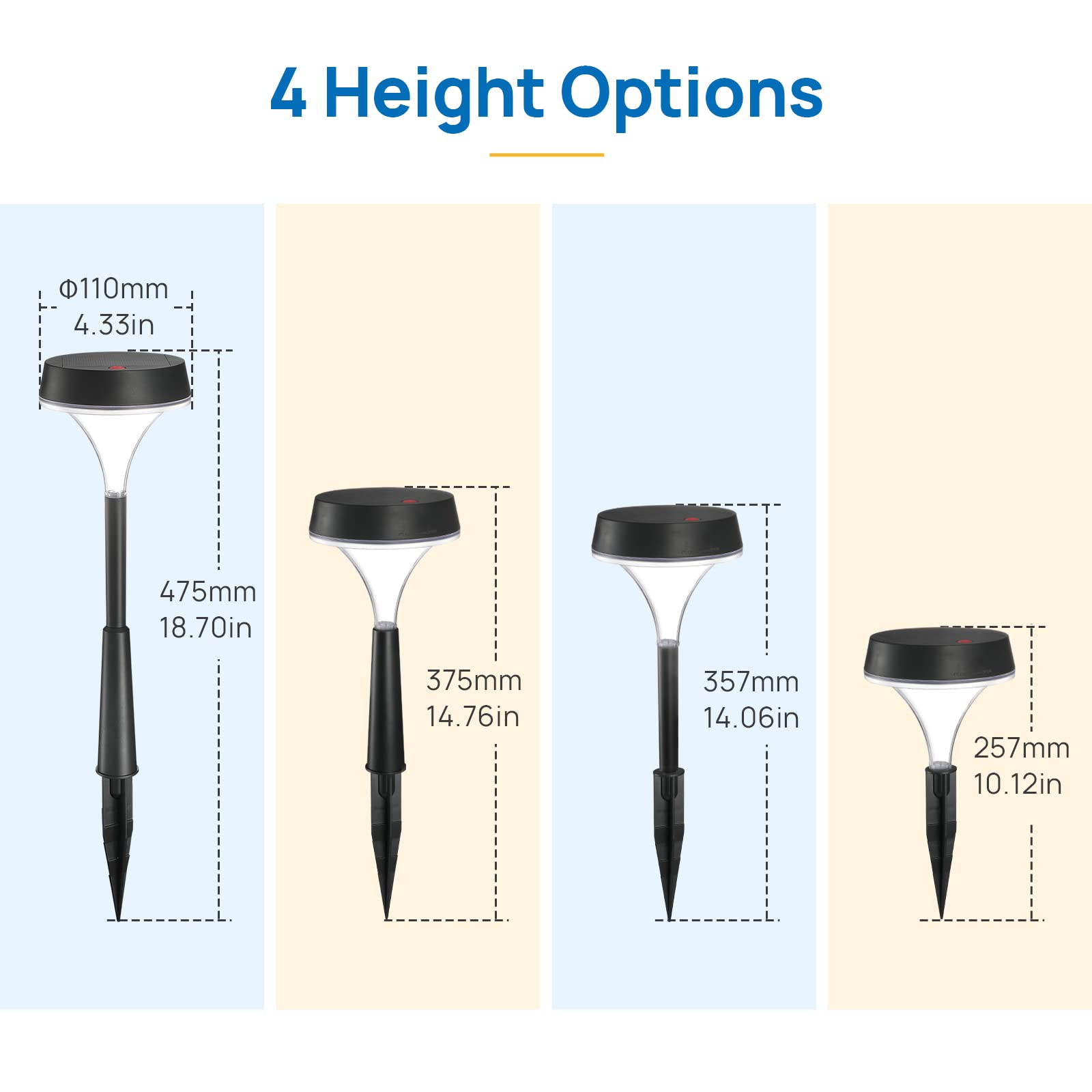 Daylight-4-pack-06.jpg