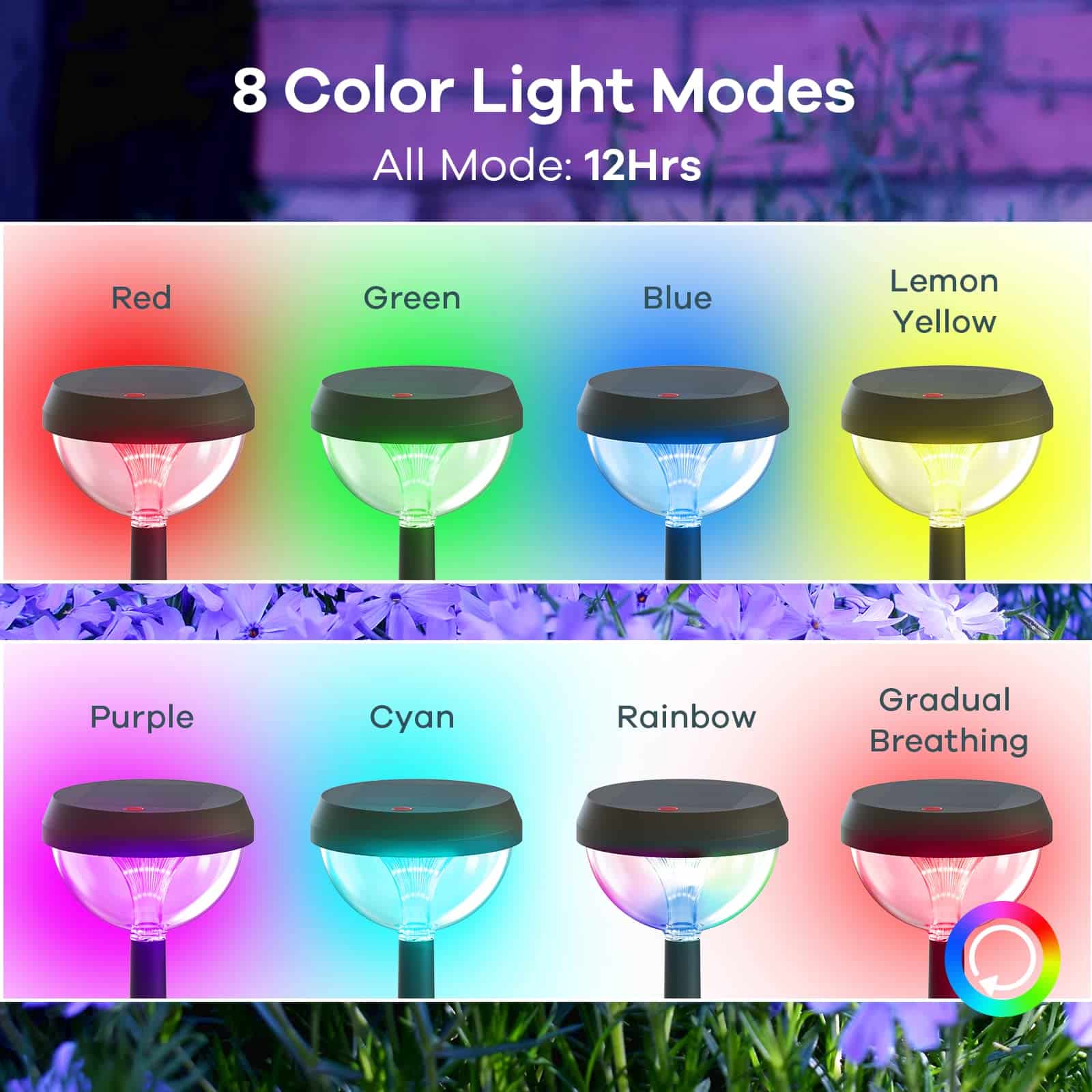 Multicolor-04-1.jpg